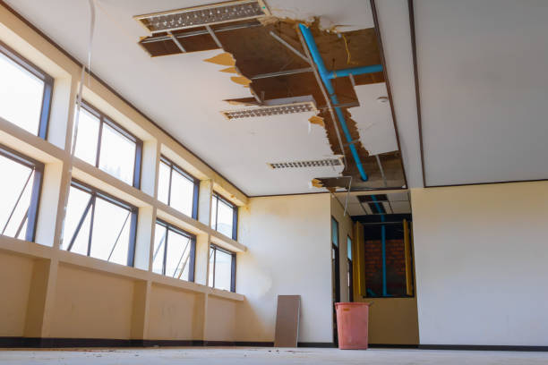 Best Professional water damage repair  in Sheridan, AR