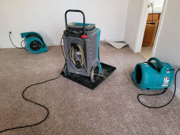Best Emergency water damage restoration  in Sheridan, AR