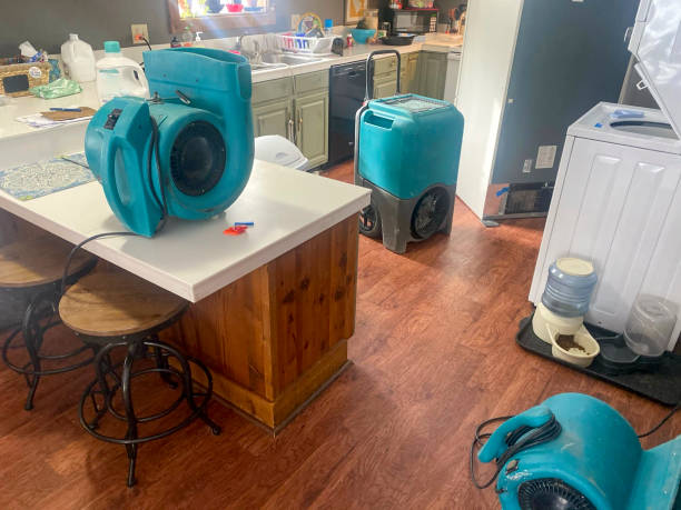 Best Water damage restoration services  in Sheridan, AR