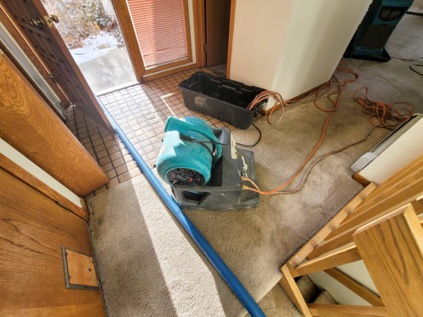 Best Commercial water damage restoration  in Sheridan, AR