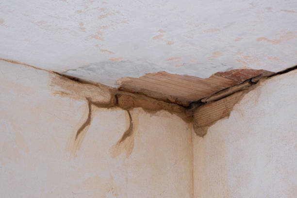 Best Basement water damage restoration  in Sheridan, AR
