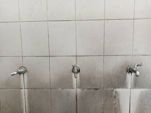 Best Water damage restoration near me  in Sheridan, AR