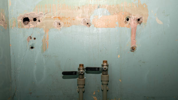 Best Mold removal after water damage  in Sheridan, AR