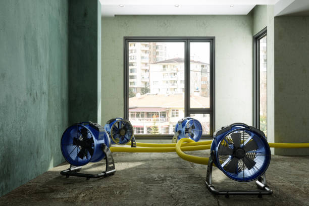 Best Emergency water damage restoration  in Sheridan, AR